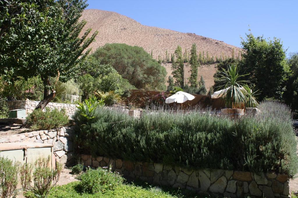 Hotel El Milagro Pisco Elqui Εξωτερικό φωτογραφία