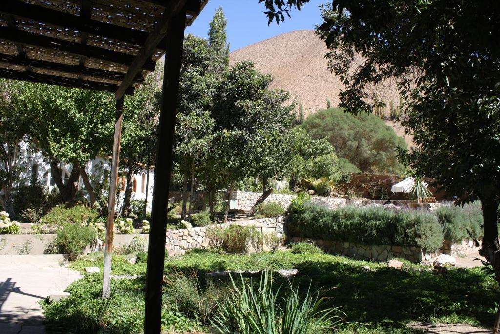 Hotel El Milagro Pisco Elqui Εξωτερικό φωτογραφία